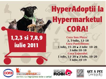adoptie animale fara stapan