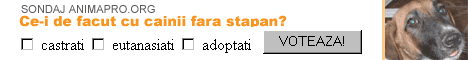 si ei au dreptul la viata