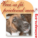 si ei au dreptul la viata