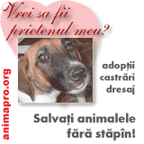 si ei au dreptul la viata