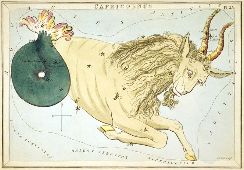capricornul