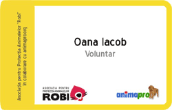 adoptie animale fara stapan